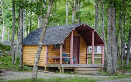 Patten Pond Camping Resort Cabin 8